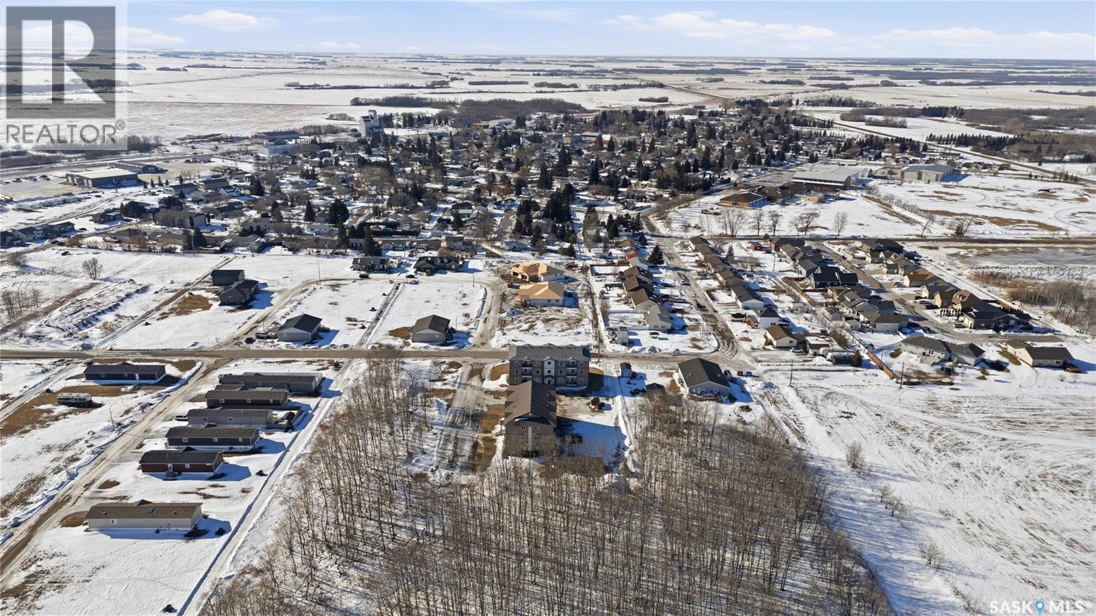 1202&1212 Dauncey Drive, Rocanville, Saskatchewan  S0A 3L0 - Photo 10 - SK030297