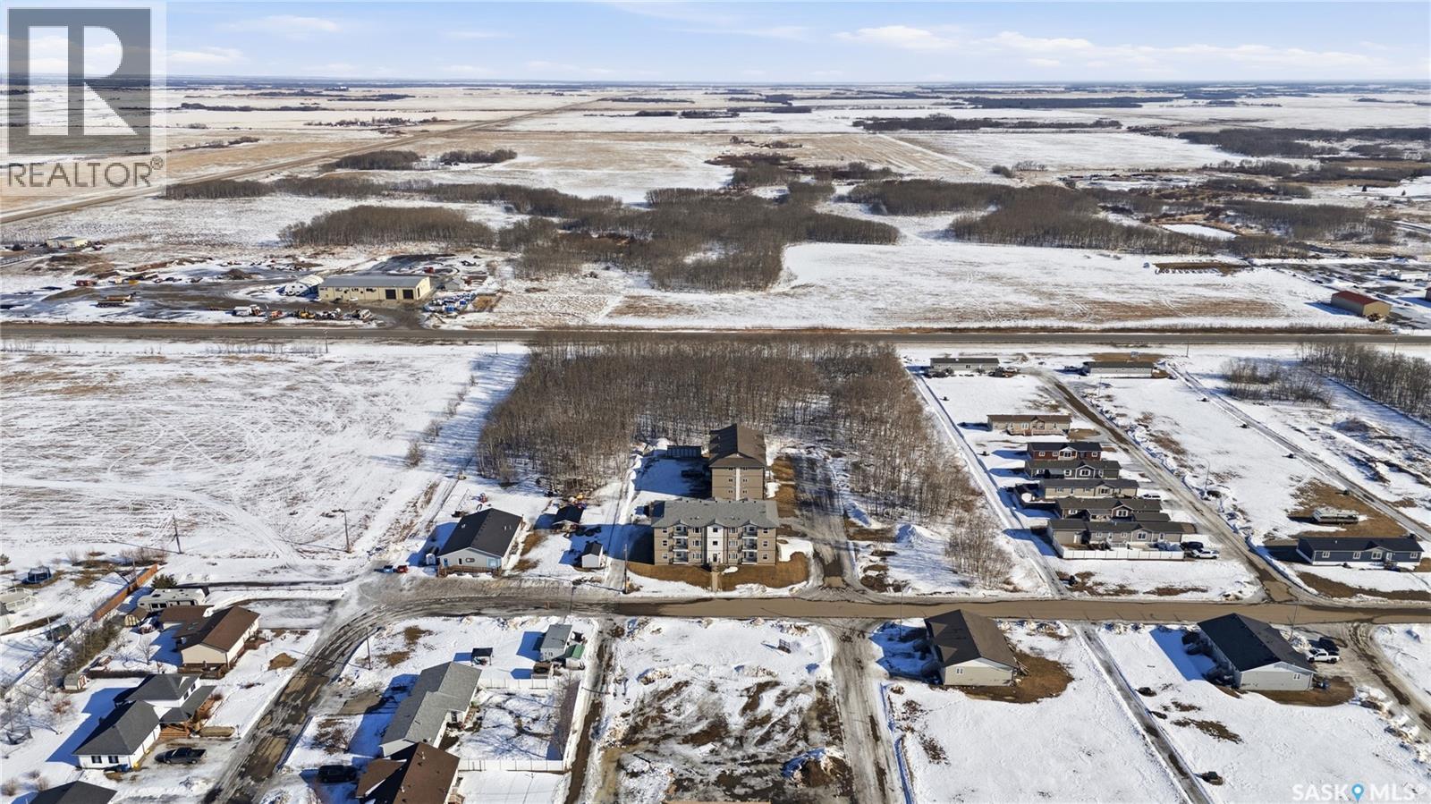 1202&1212 Dauncey Drive, Rocanville, Saskatchewan  S0A 3L0 - Photo 6 - SK030297