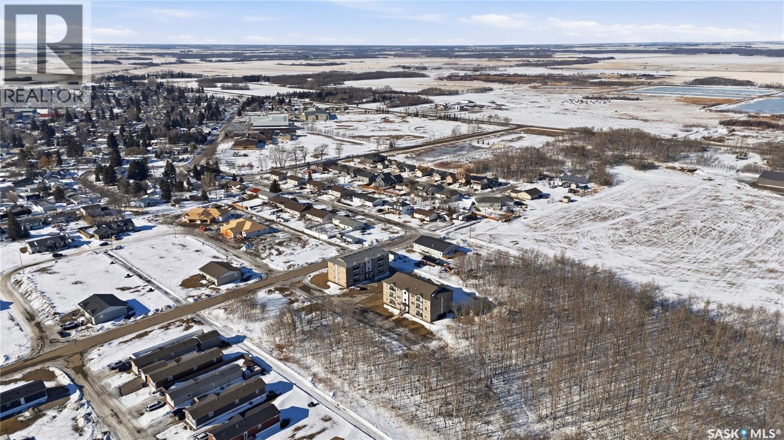 1202&1212 Dauncey Drive, Rocanville, Saskatchewan  S0A 3L0 - Photo 9 - SK030297