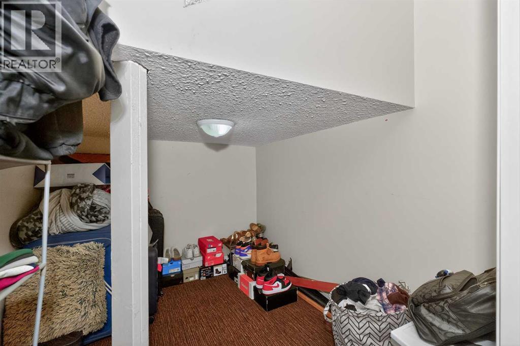 246 Saddlebrook Way Ne, Calgary, Alberta  T3J 0B4 - Photo 44 - A2291830