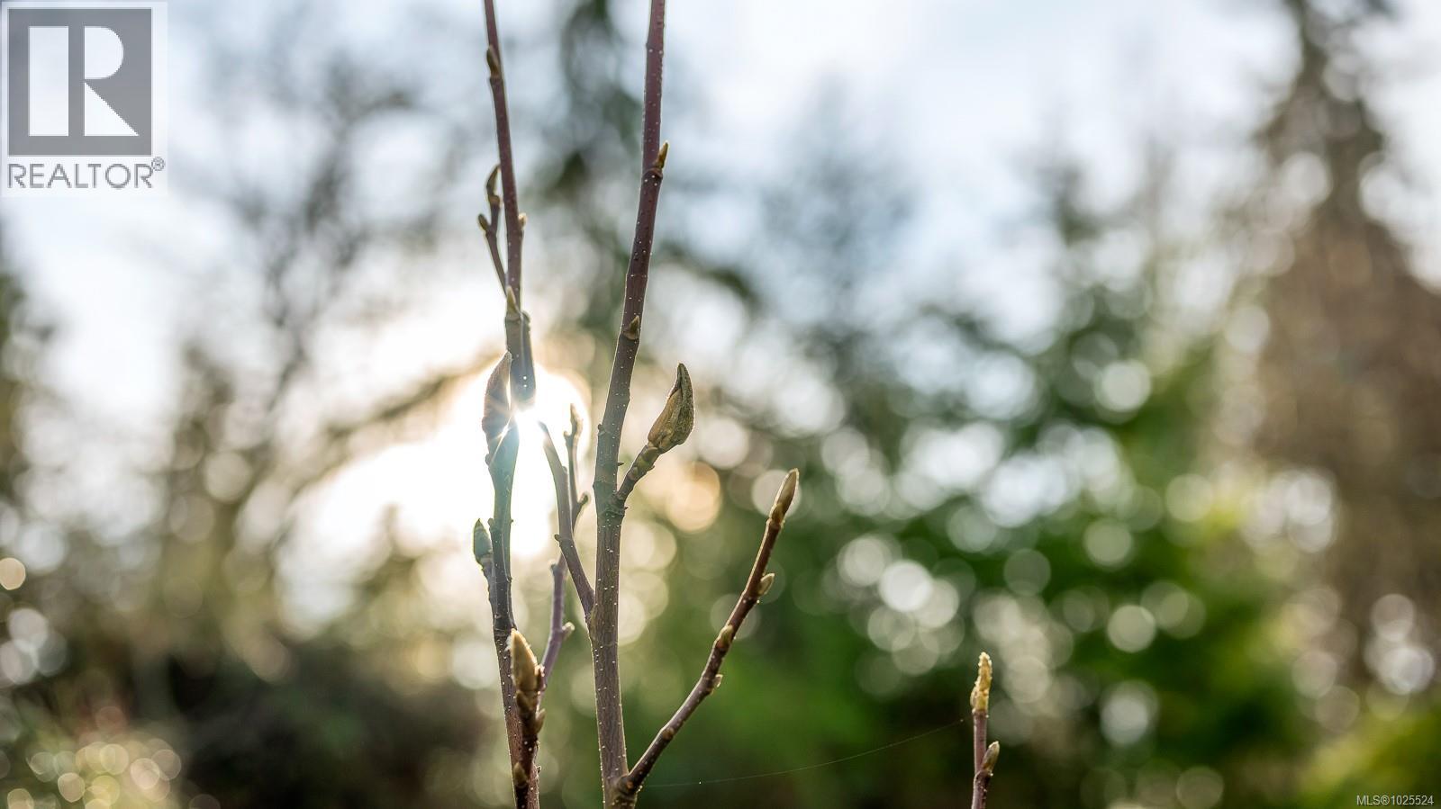 3767 Maple Lane, Royston, British Columbia  V0R 2V0 - Photo 56 - 1025524