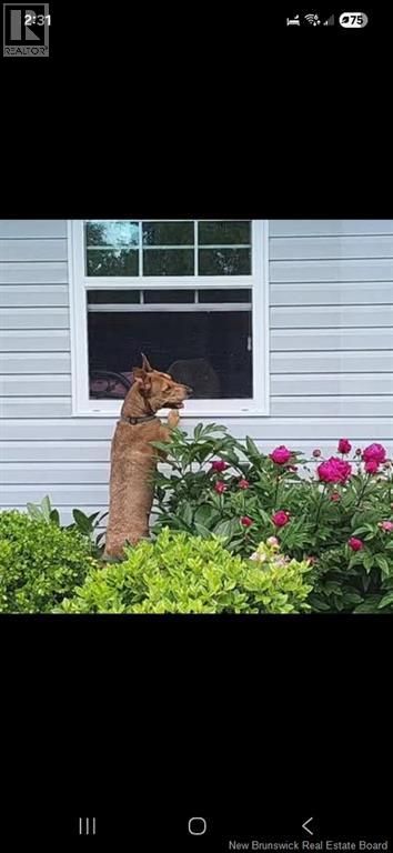 37 Hilltop, Hampton, New Brunswick  E5N 5P1 - Photo 50 - NB134965