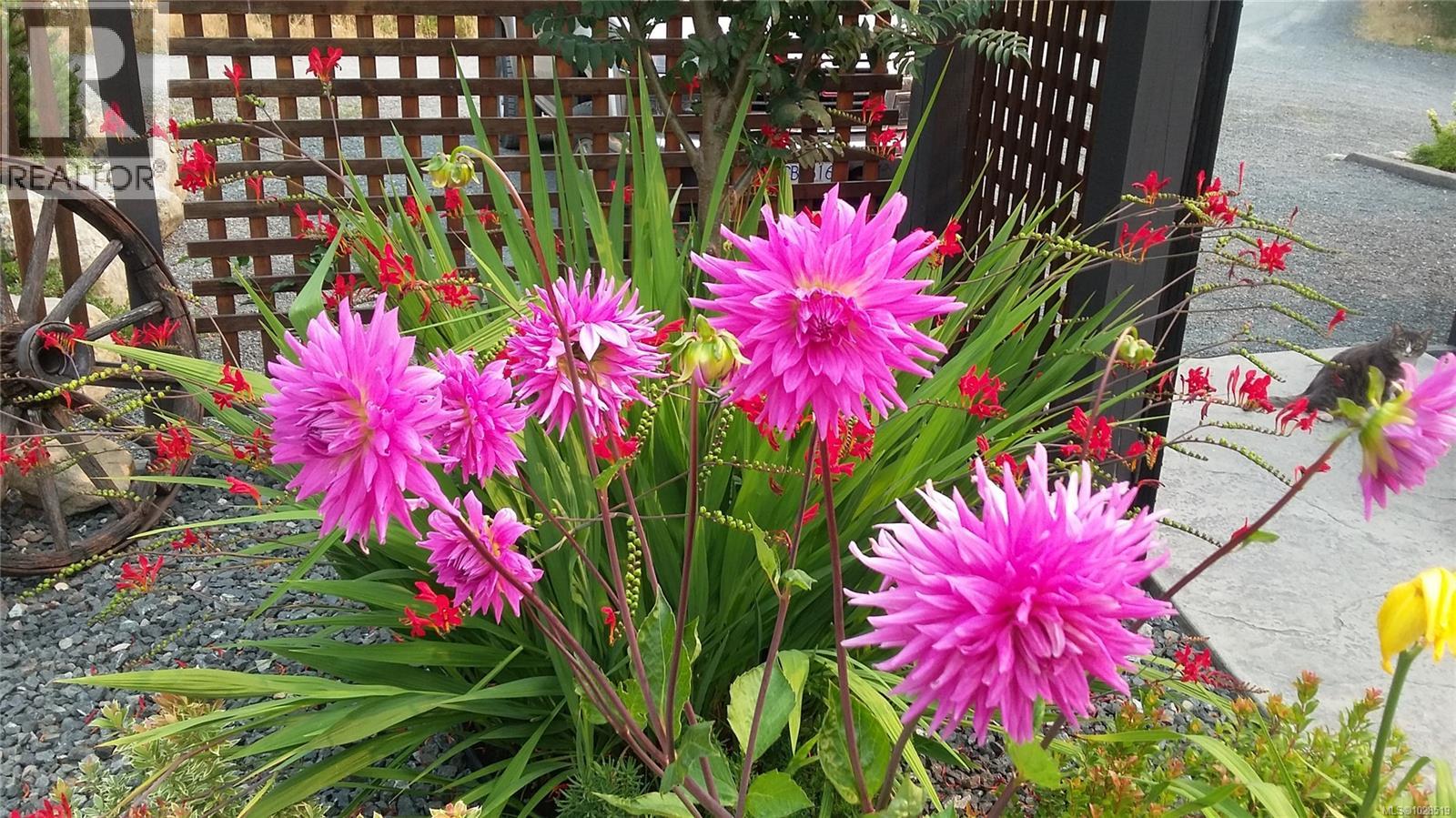 1858 Taylor Walk, Qualicum Beach, British Columbia V9K 2S3 - Photo 45 - 1028519