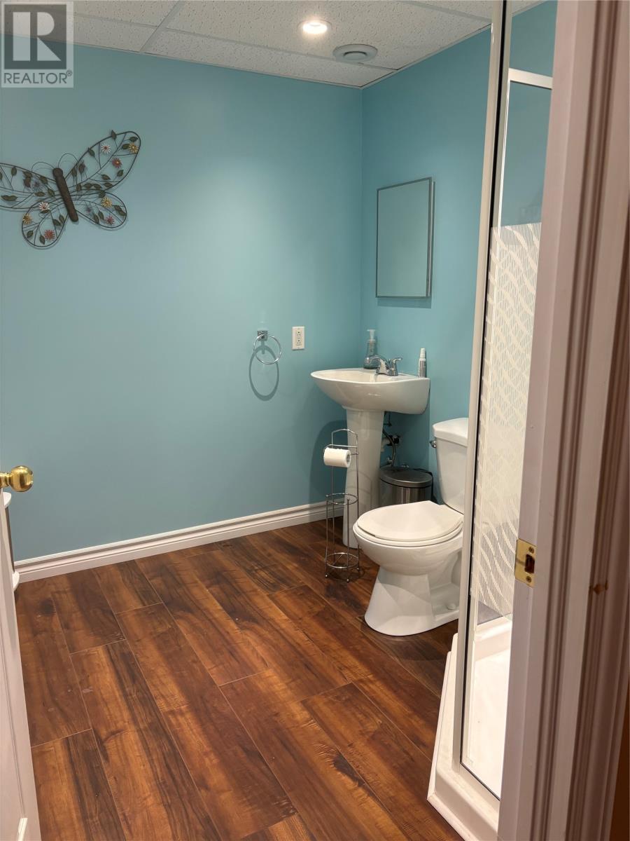 26 Thomas Street, Grand Falls-Windsor, Newfoundland & Labrador  A2A 2V6 - Photo 26 - 1295196