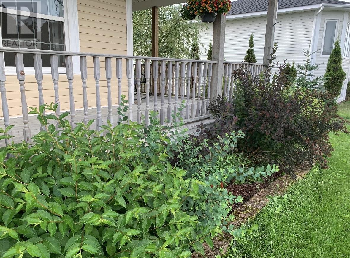 26 Thomas Street, Grand Falls-Windsor, Newfoundland & Labrador  A2A 2V6 - Photo 32 - 1295196