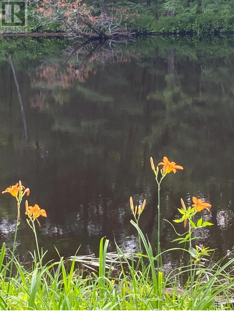 3000 Whelan Way, Ramara, Ontario  L0K 2B0 - Photo 4 - S12879130