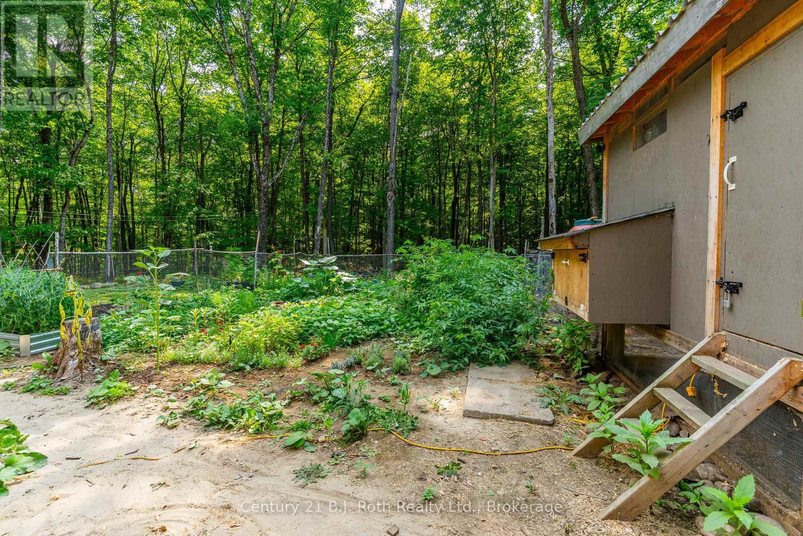 12664 Haliburton County Road 503 Road, Highlands East, Ontario  K0L 2Y0 - Photo 24 - X12879170