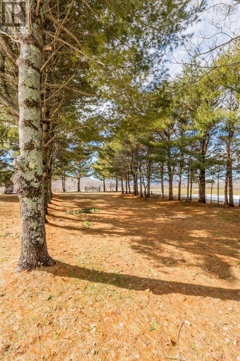 1303 Highway 201, Round Hill, Nova Scotia  B0S 1A0 - Photo 44 - 202604489
