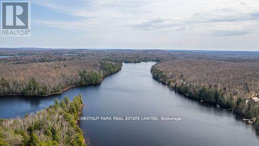 1038 Stonehenge Lane, Highlands East (Cardiff Ward), Ontario  K0L 1M0 - Photo 31 - X12879370