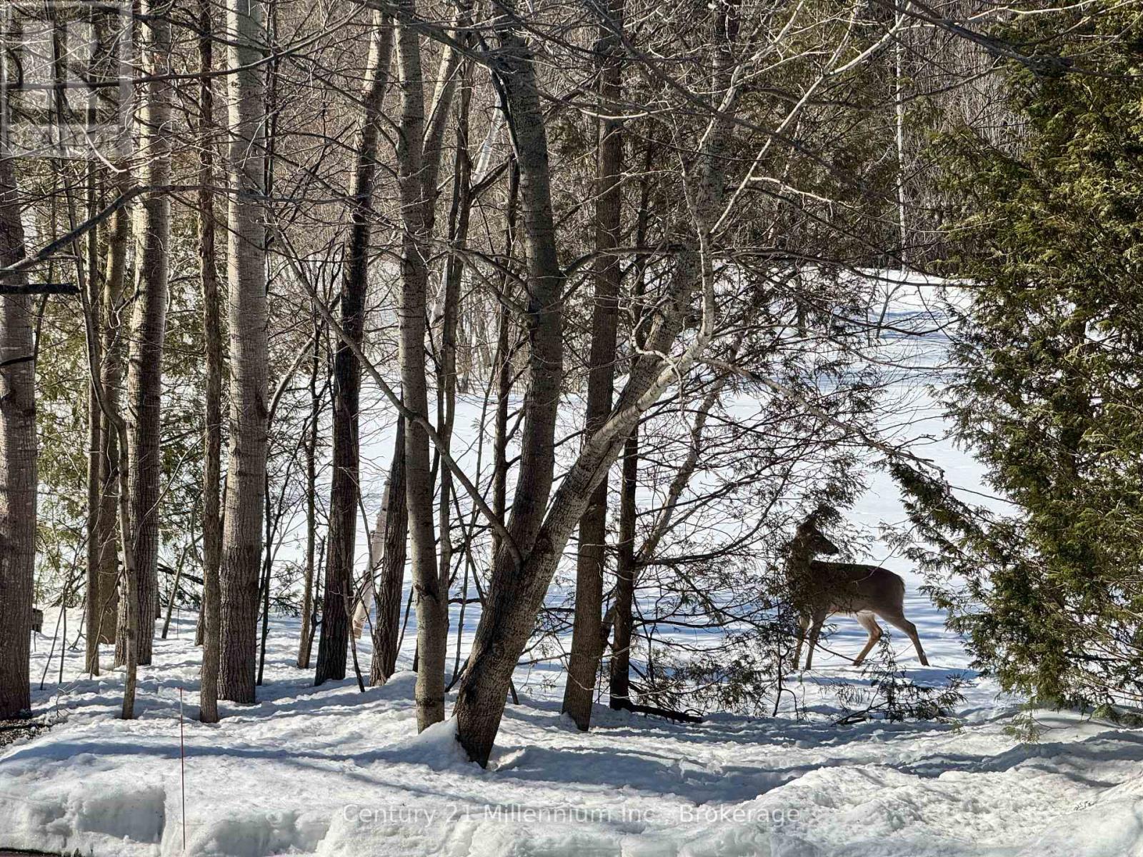 758341 Girl Guide Road, Georgian Bluffs, Ontario  N4K 5N7 - Photo 50 - X12877512