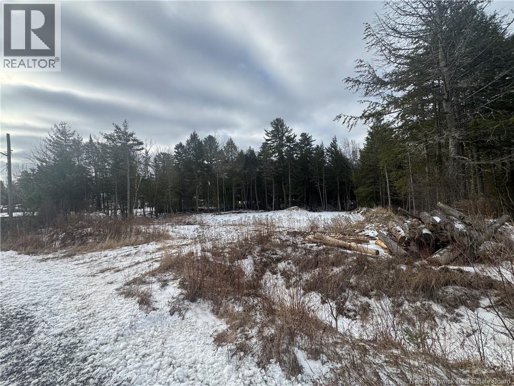 44 Shallon Lane, Fredericton, New Brunswick  E3A 9R4 - Photo 11 - NB135039