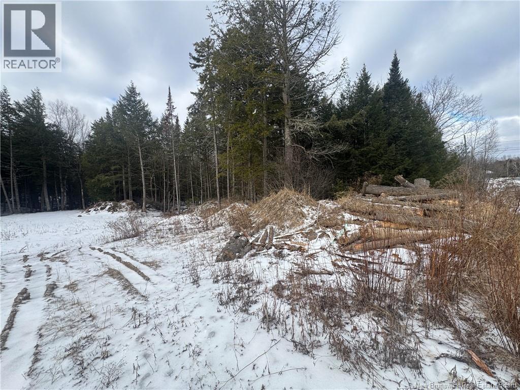 44 Shallon Lane, Fredericton, New Brunswick  E3A 9R4 - Photo 12 - NB135039