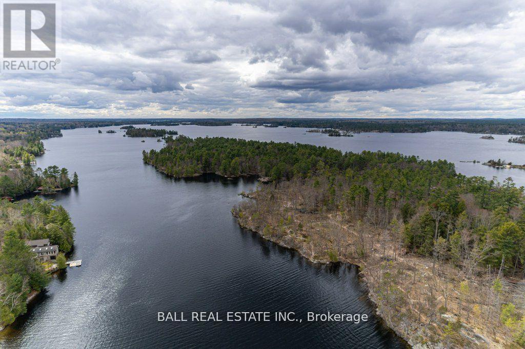 1726 South Bay Shore Road W, Douro-Dummer, Ontario  K0L 2H0 - Photo 44 - X12879586