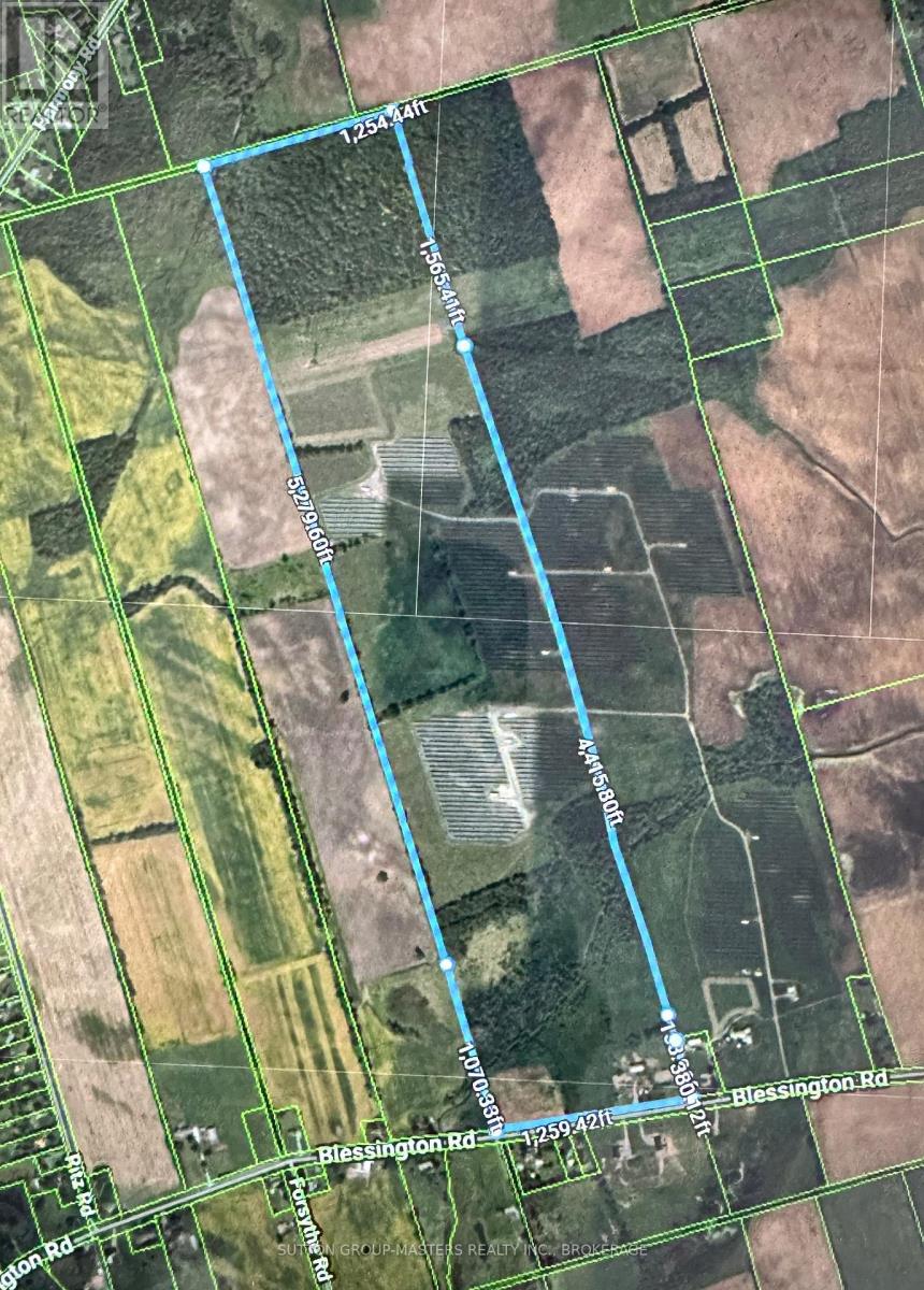 407 Blessington Road, Belleville, Ontario  K0K 1V0 - Photo 39 - X12879500