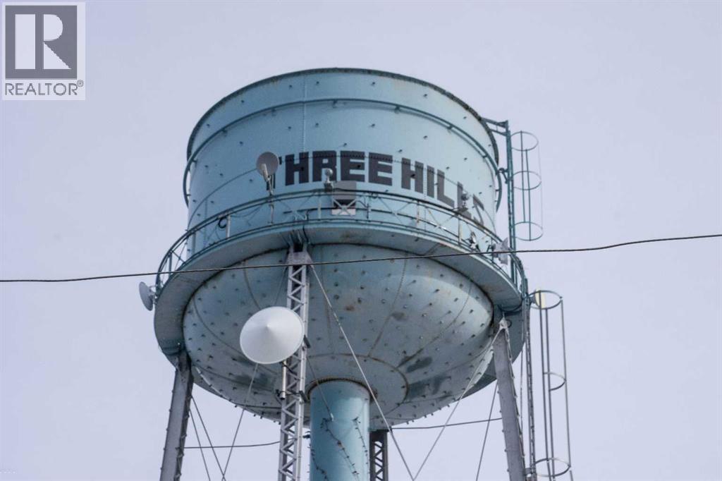 318 4 Avenue Se, Three Hills, Alberta  T0M 2A0 - Photo 33 - A2292467