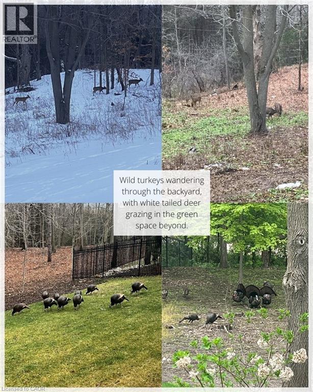 44 Pioneer Ridge Drive, Kitchener, Ontario  N2P 0G6 - Photo 48 - 40800926