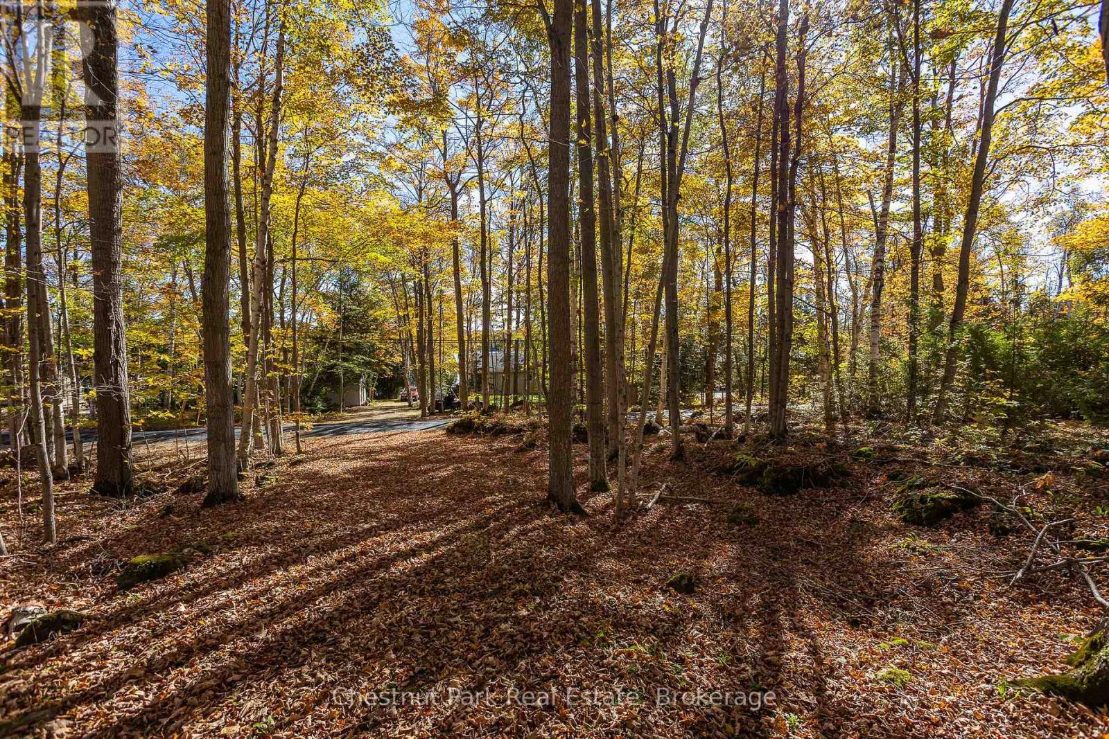 305 Barney's Boulevard, Northern Bruce Peninsula, Ontario  N0H 1Z0 - Photo 43 - X12879580