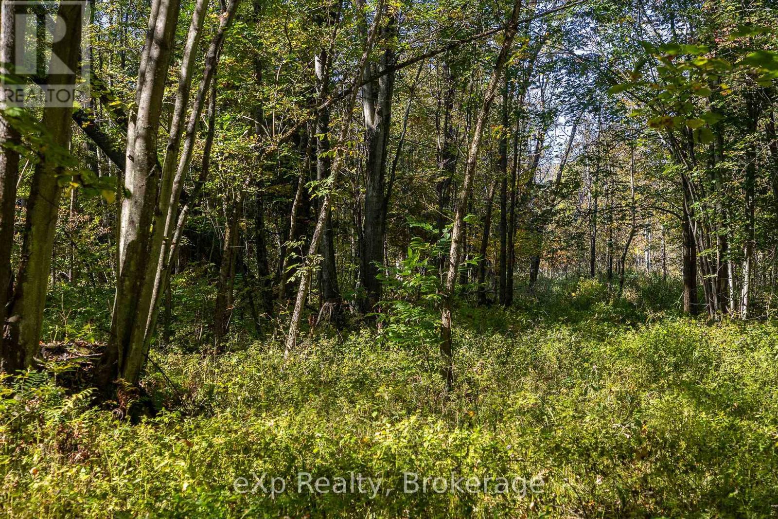 1/4 Lt3 Sideroad 3, Chatsworth, Ontario  N0H 2N0 - Photo 18 - X12879676