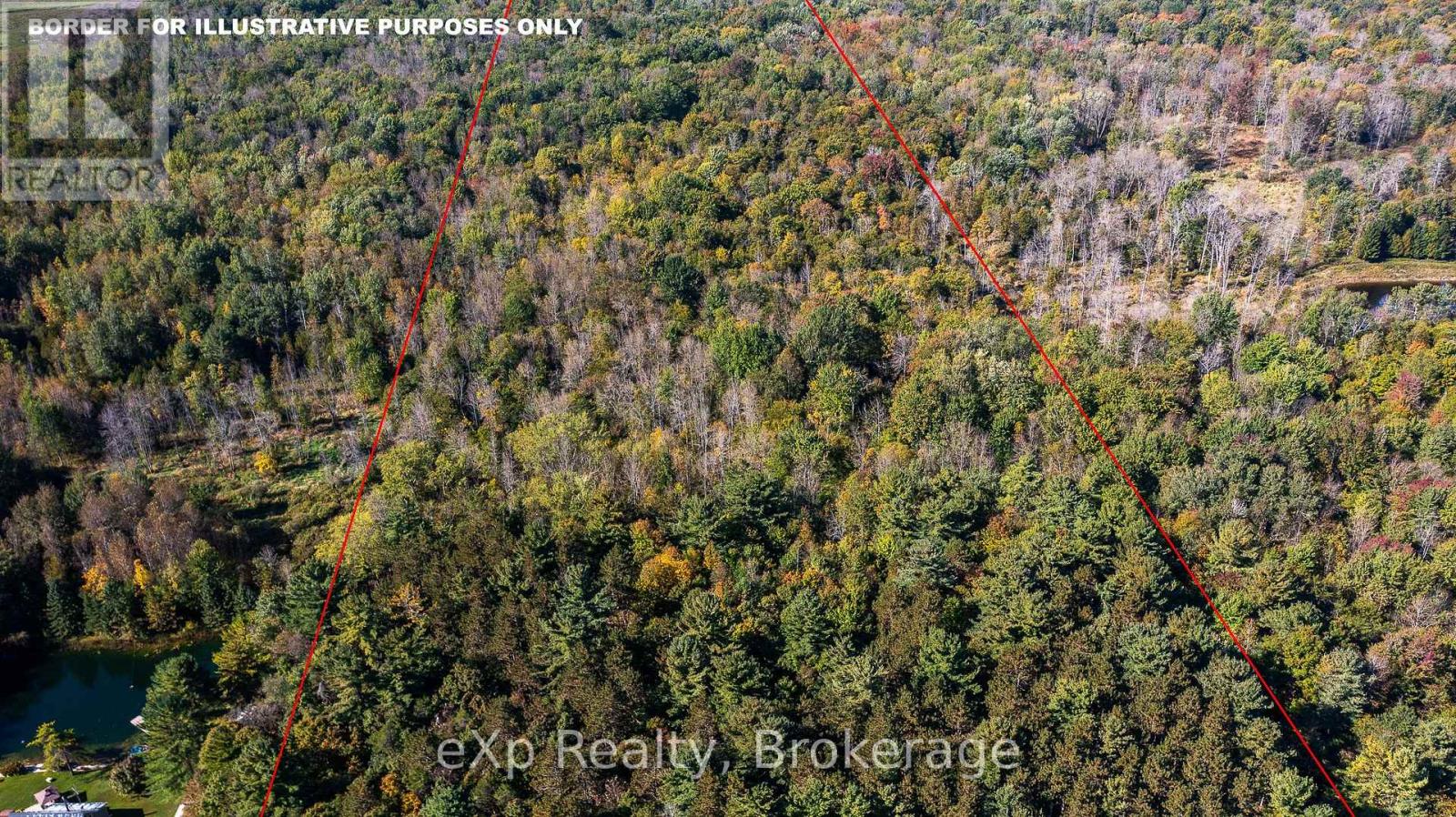 1/4 Lt3 Sideroad 3, Chatsworth, Ontario  N0H 2N0 - Photo 4 - X12879676