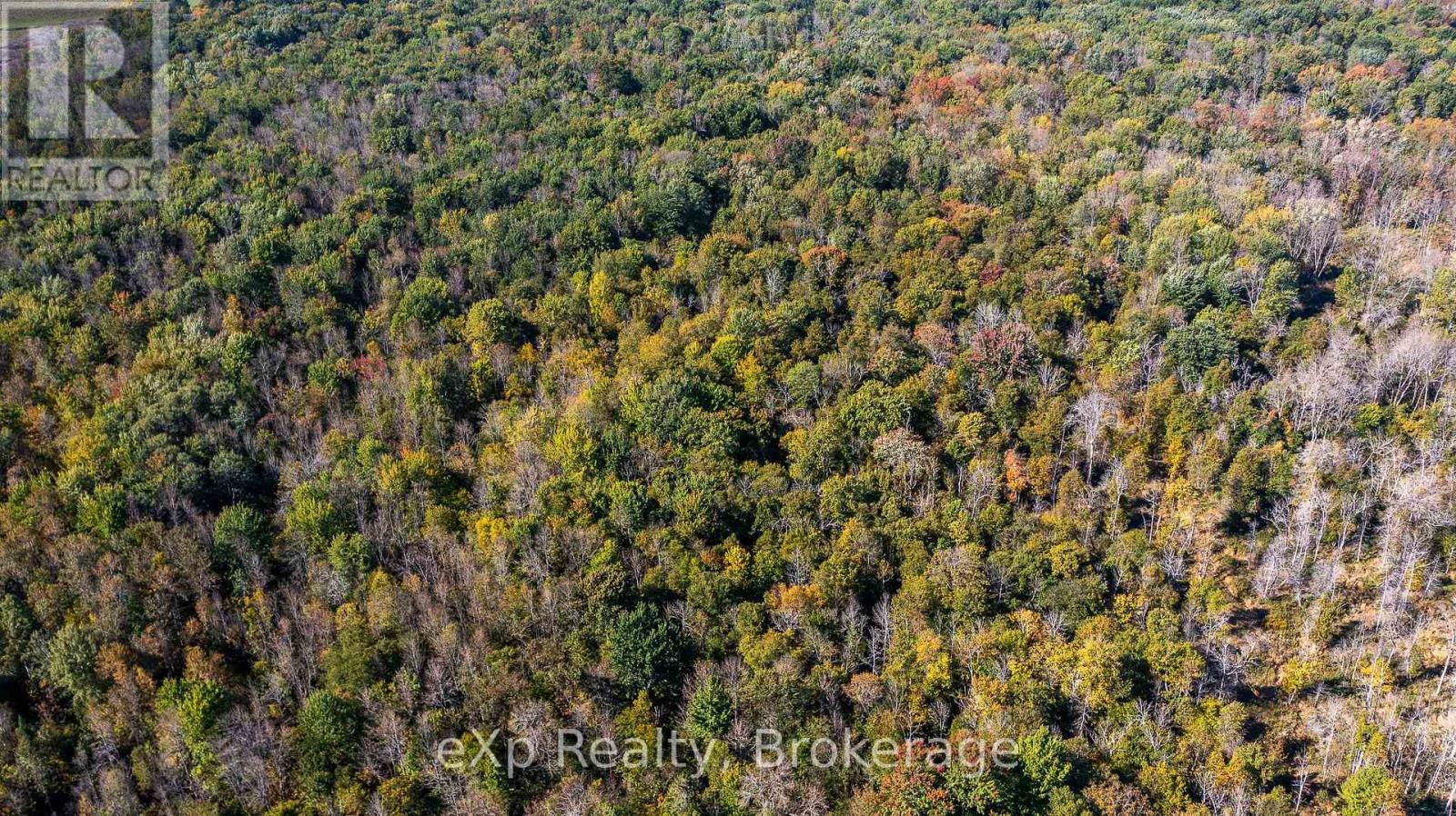 1/4 Lt3 Sideroad 3, Chatsworth, Ontario  N0H 2N0 - Photo 5 - X12879676