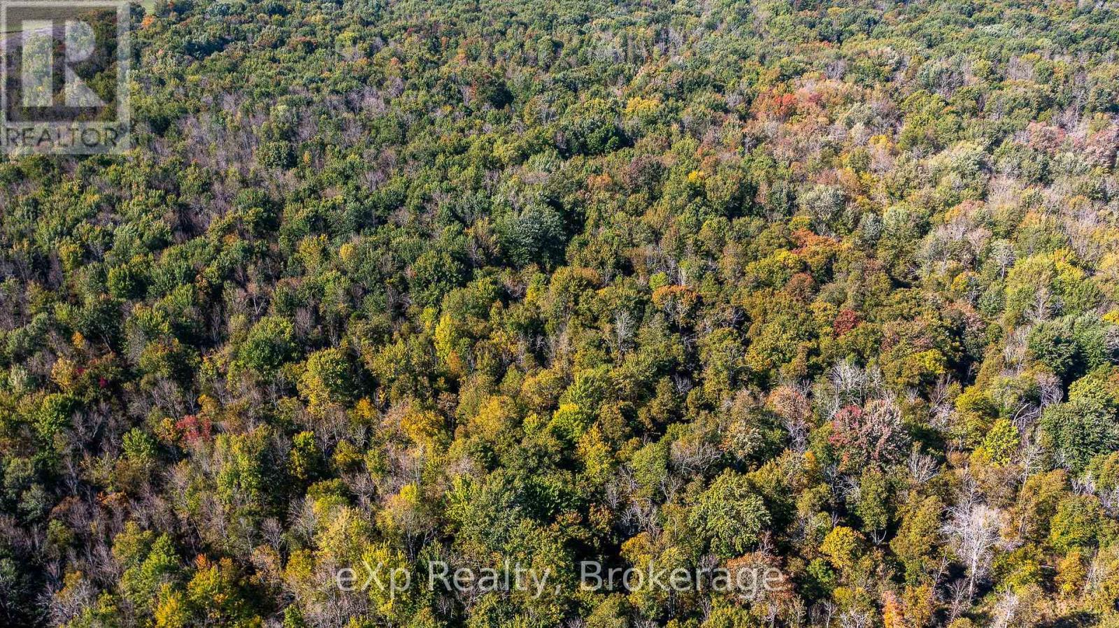 1/4 Lt3 Sideroad 3, Chatsworth, Ontario  N0H 2N0 - Photo 6 - X12879676