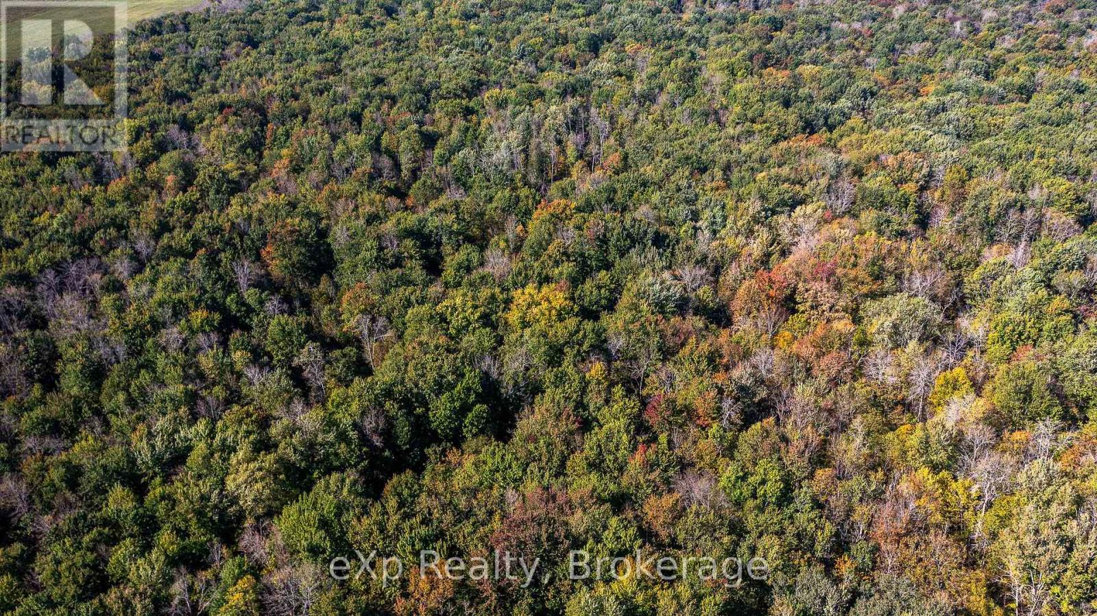 1/4 Lt3 Sideroad 3, Chatsworth, Ontario  N0H 2N0 - Photo 7 - X12879676