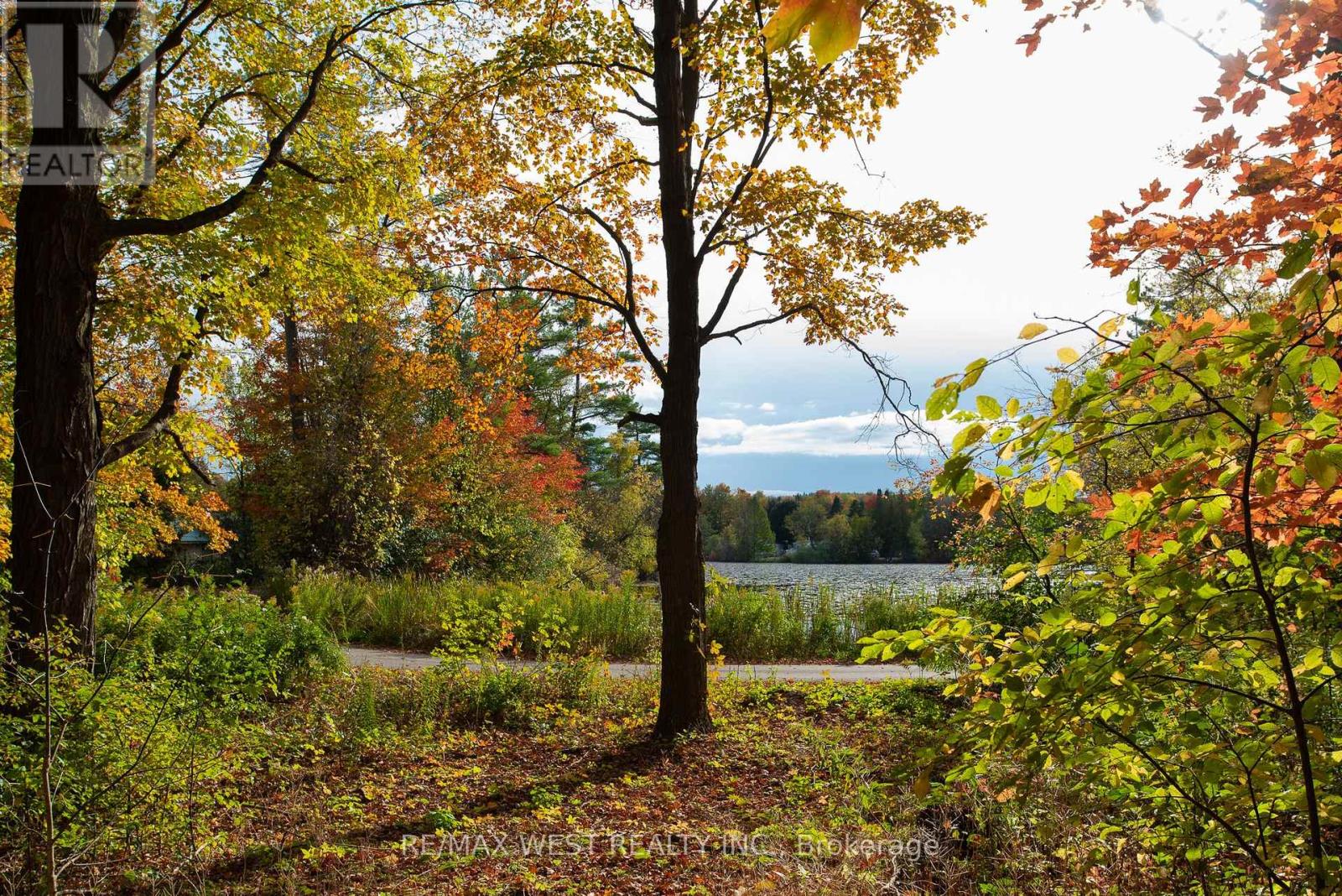 252 Main Street, Erin, Ontario  N0B 1T0 - Photo 39 - X12879490