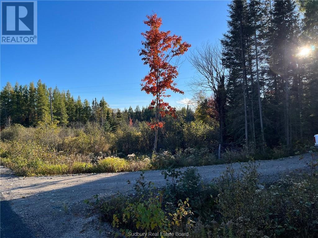 411 Hardwood Road, Mckerrow, Ontario  P0P 1M0 - Photo 3 - 2126805