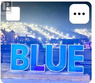 141 Kandahar Lane, Blue Mountains, Ontario  L9Y 0N3 - Photo 42 - X12880200