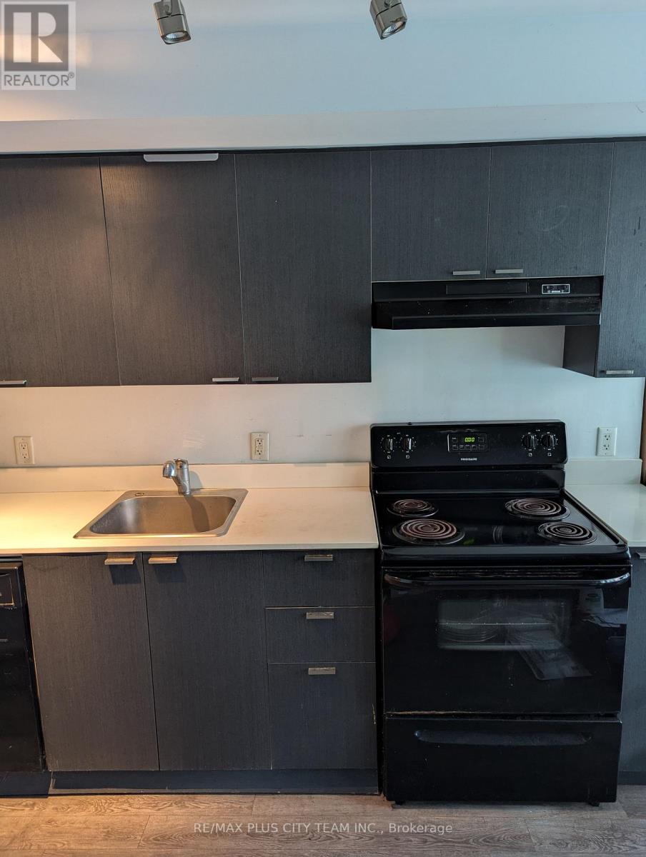 502 - 375 King Street W, Toronto (Waterfront Communities), Ontario  M5V 1K5 - Photo 3 - C12879966