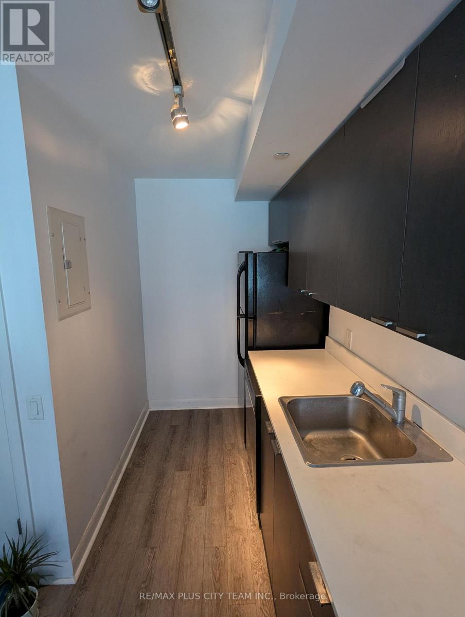 502 - 375 King Street W, Toronto (Waterfront Communities), Ontario  M5V 1K5 - Photo 4 - C12879966