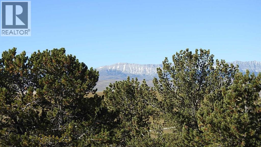 157 Acres Snake Trail, Rural Pincher Creek No. 9, Alberta  T9K 1W0 - Photo 2 - A2262209