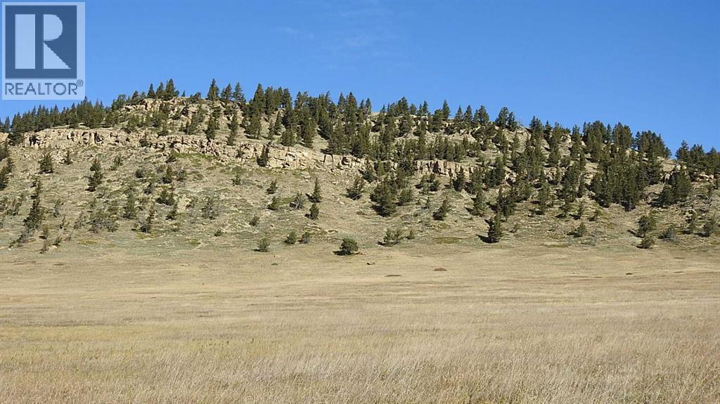 157 Acres Snake Trail, Rural Pincher Creek No. 9, Alberta  T9K 1W0 - Photo 14 - A2262209