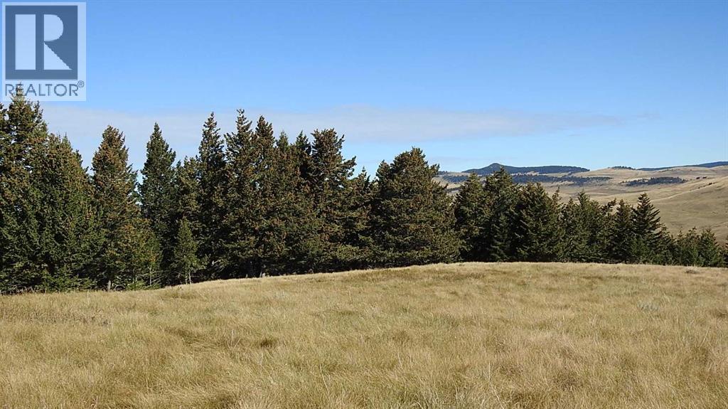 157 Acres Snake Trail, Rural Pincher Creek No. 9, Alberta  T9K 1W0 - Photo 11 - A2262209