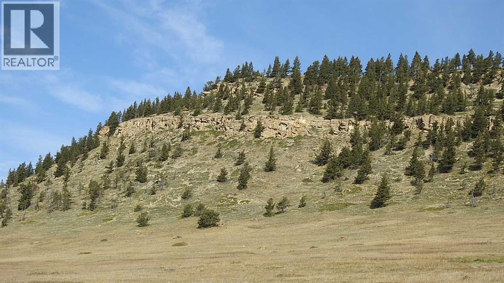 157 Acres Snake Trail, Rural Pincher Creek No. 9, Alberta  T9K 1W0 - Photo 3 - A2262209