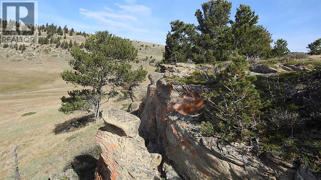 157 Acres Snake Trail, Rural Pincher Creek No. 9, Alberta  T9K 1W0 - Photo 7 - A2262209