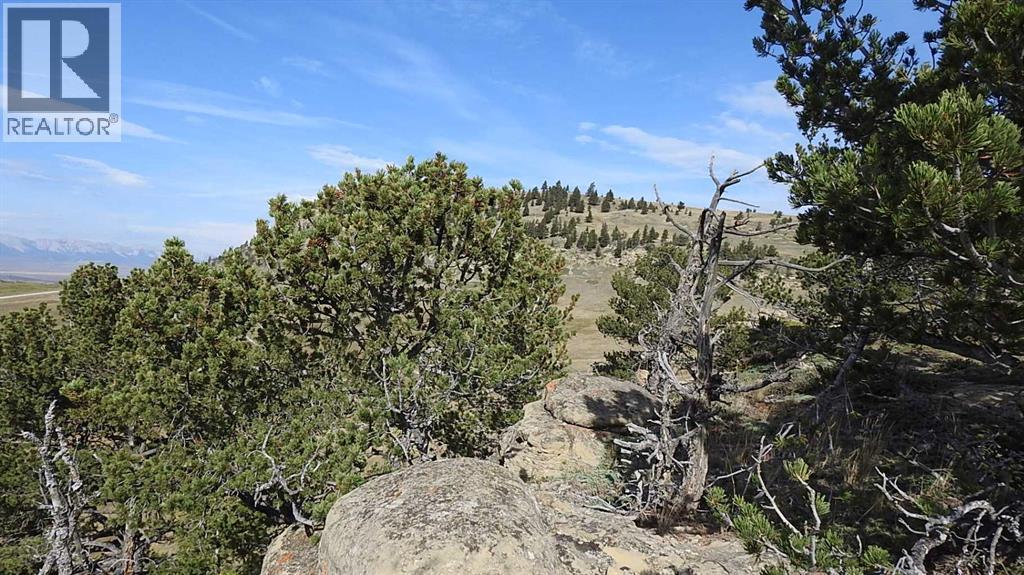 157 Acres Snake Trail, Rural Pincher Creek No. 9, Alberta  T9K 1W0 - Photo 5 - A2262209