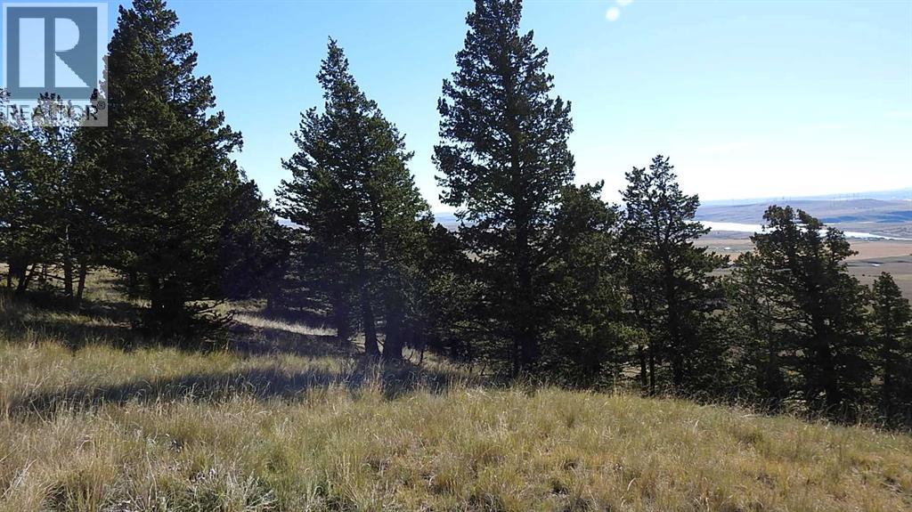 157 Acres Snake Trail, Rural Pincher Creek No. 9, Alberta  T9K 1W0 - Photo 32 - A2262209