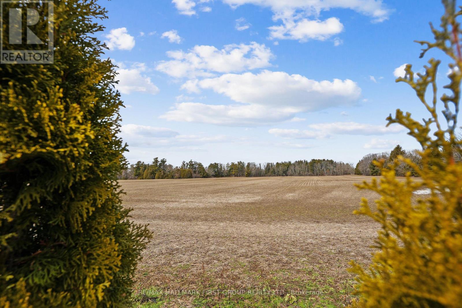 378 Lakeshore Road, Port Hope, Ontario  L1A 0A4 - Photo 42 - X12880214