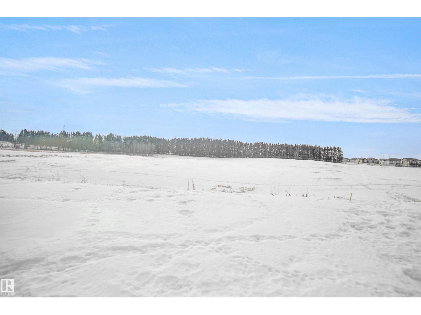 1535 11 Av Nw, Edmonton, Alberta  T6T 2N5 - Photo 31 - E4477311