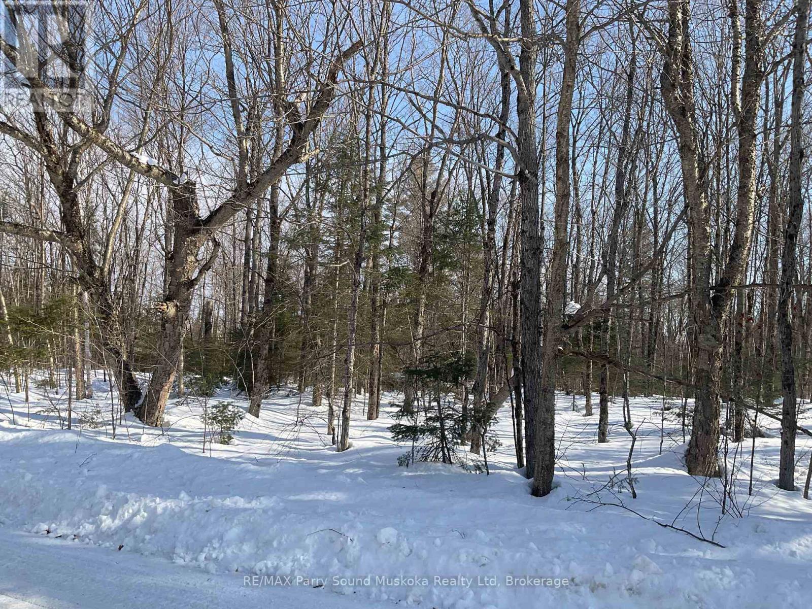 67 Pine Grove Road, Parry Sound Remote Area, Ontario  P0H 1S0 - Photo 4 - X12876644