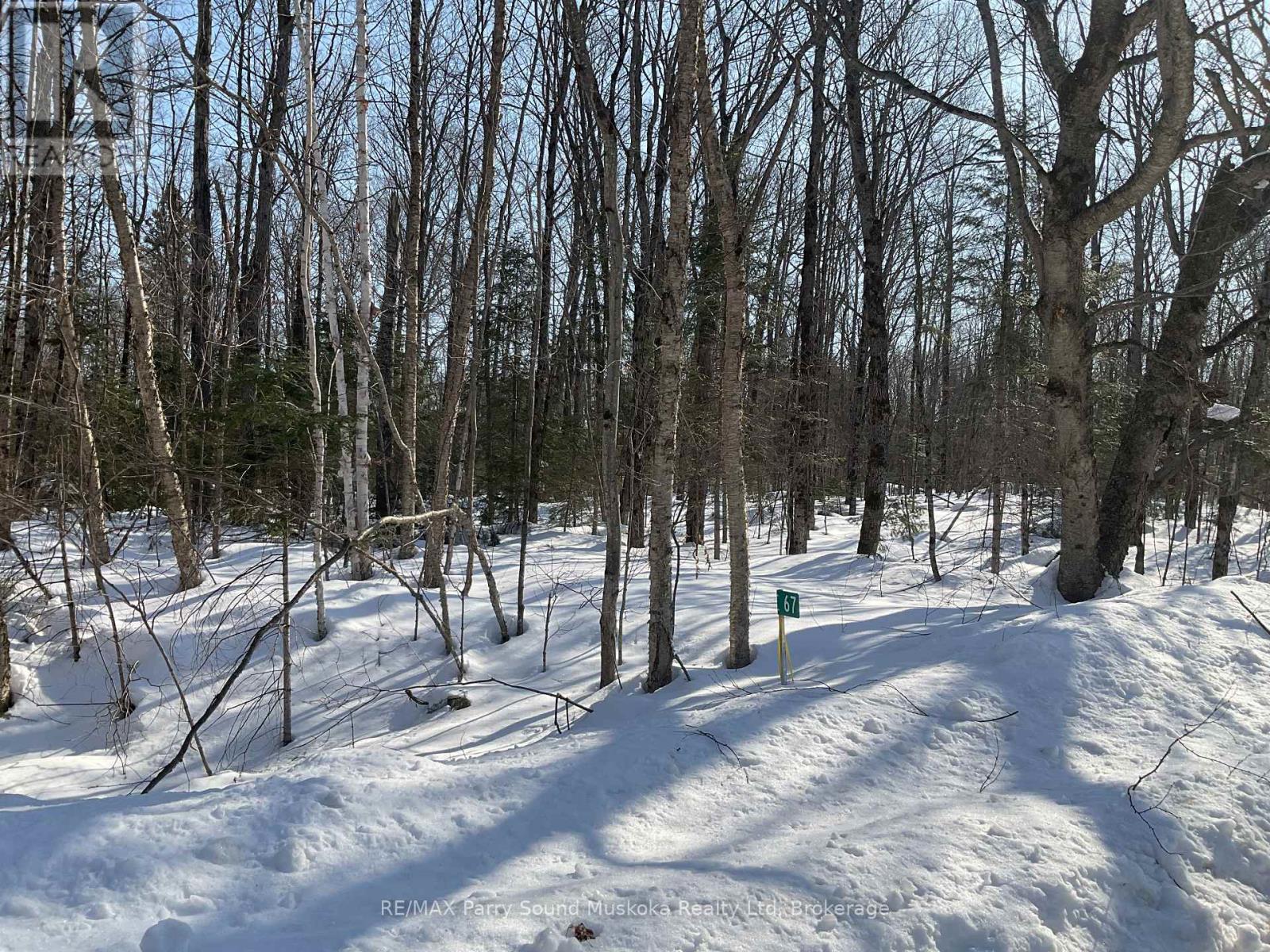 67 Pine Grove Road, Parry Sound Remote Area, Ontario  P0H 1S0 - Photo 2 - X12876644