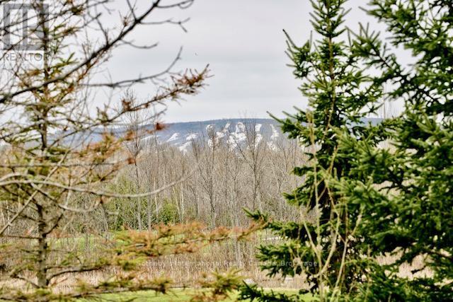 42 Sierra Trail, Collingwood, Ontario  L9Y 0J5 - Photo 5 - S12880276