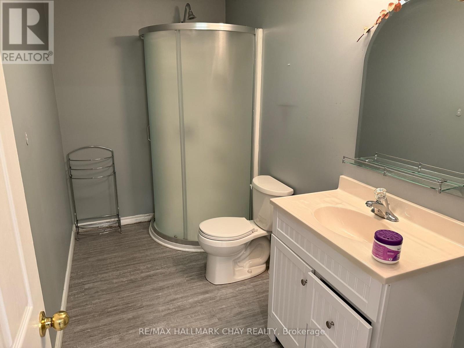 Lower - 77 Cowan Avenue, New Tecumseth, Ontario  L9R 2E8 - Photo 4 - N12880300