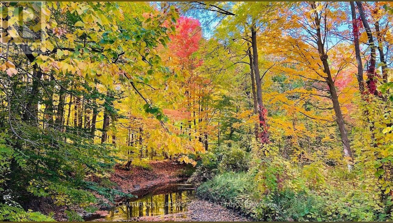 6604 Opera Glass Crescent, Mississauga, Ontario  L5W 1R8 - Photo 46 - W12880274