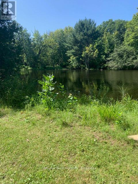 3000 Whelan Way, Ramara, Ontario  L0K 2B0 - Photo 10 - S12879130