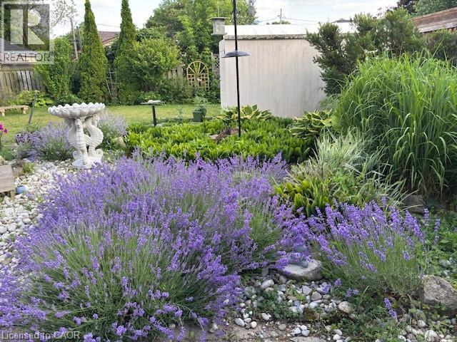 7 Cairns Avenue, Dundas, Ontario  L9H 1G2 - Photo 38 - 40811088