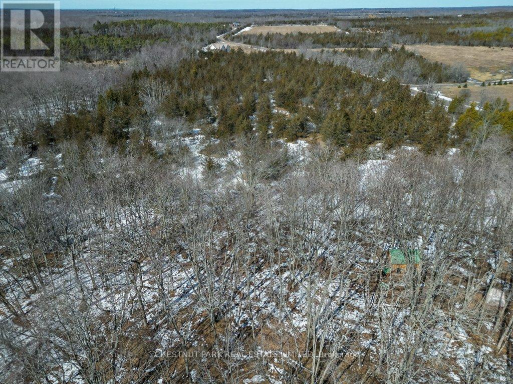 206 Simpson Road, Prince Edward County, Ontario  K0K 2P0 - Photo 14 - X12880370