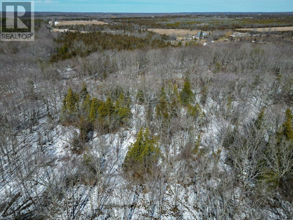 206 Simpson Road, Prince Edward County, Ontario  K0K 2P0 - Photo 15 - X12880370