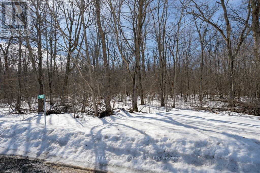 206 Simpson Road, Prince Edward County, Ontario  K0K 2P0 - Photo 22 - X12880370